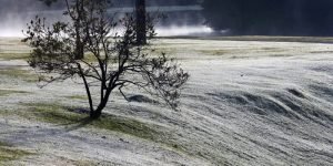 1787530157_Frio.jpg