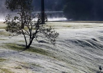 1787530157_Frio.jpg