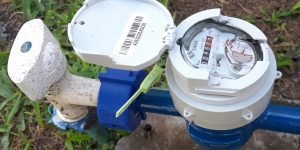 Foto: Governo do Paraná