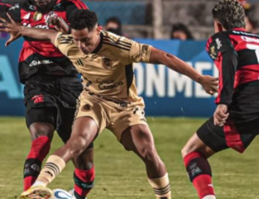 3krexbrssjff5i7w79t8cv17c