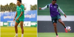 palmeiras e guaranifc se enfrentam na arena barueri pela última rodada classific