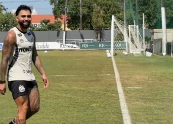 6s719h2puh9xui16ks3piieud