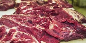 Carne fresca,Açougues, Frigoríficos, alimento