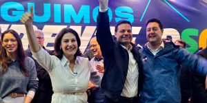 Cristina Graeml, Senado, Paraná, Eleições 2026