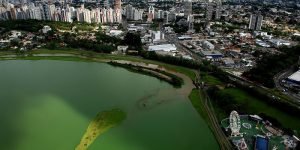 Curitiba.jpg