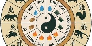Horoscopo-Chines-784512.jpg