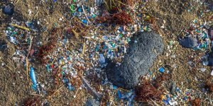 Micro plastics mixed in the sand of the beach