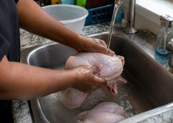 Lavando-frango.jpg