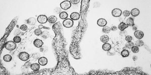 Foto: Photo: CDC/Cynthia Goldsmith