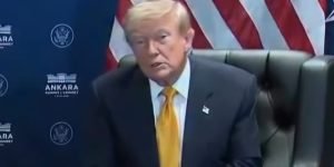 WhatsApp-Image-2026-07-08-at-08.10.52