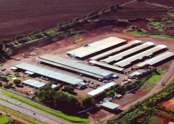 Foto: Governo do Paraná