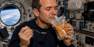 astronauta-olfato.jpg