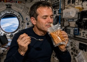 astronauta-olfato.jpg