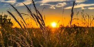 Foto: Governo do Paraná