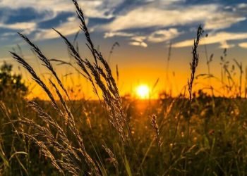 Foto: Governo do Paraná