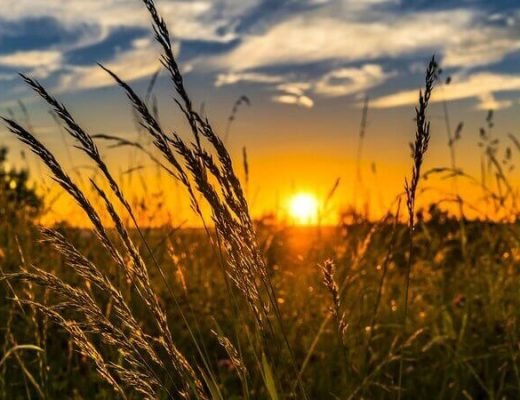 Foto: Governo do Paraná