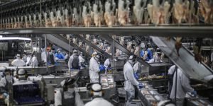 Foto: Governo do Paraná