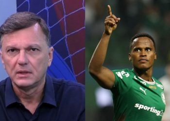 calq8ddwslpi5yq3id58xbhsr