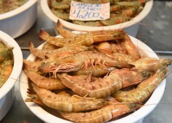 Foto: Governo do Paraná