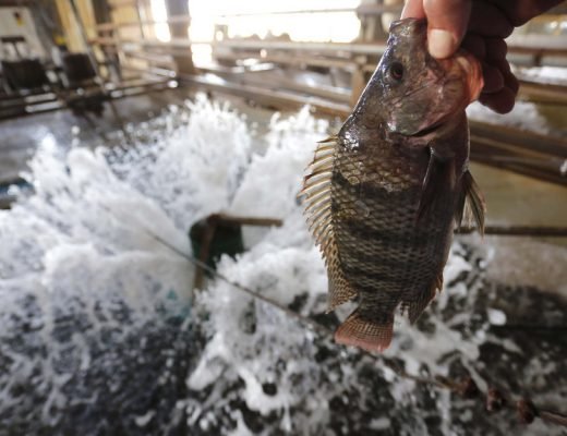 clJi4Y0XTNabz46vol9zq8qtoPDxvr2TK2eflWaj