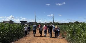 Foto: Governo do Paraná