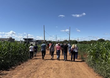 Foto: Governo do Paraná