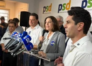 cristina-graeml-candida-senado-psd