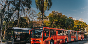 curitibus-estreia-5-novembro