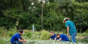 Foto: Governo do Paraná