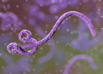 ebola-metropolesjpg006458180202606132249.webp.webp