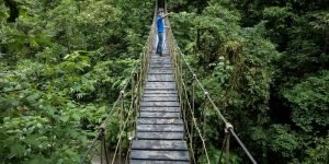 ecoturismo