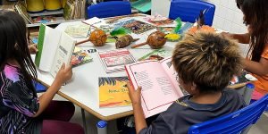 escola_estadual_indigena_araju_pora