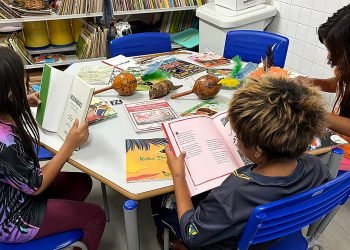 escola_estadual_indigena_araju_pora