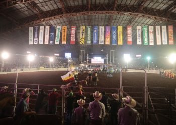 Foto: Governo do Paraná