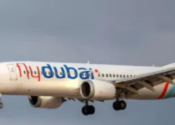 fly-300x180.jpg