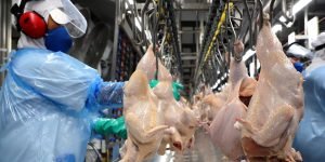 Foto: Governo do Paraná