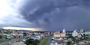 Foto: (Crédito: Prefeitura de São José dos Pinhais)