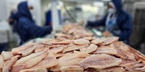 governo-de-minas-gerais-eleva-tributacao-sobre-tilapia-impor-capa-1200x675-1
