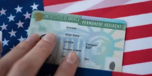 green-card-1-compressed006434930202605302340.webp.webp