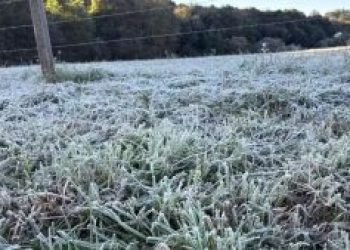 image-2026-04-27-085746-300x169-1