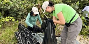 Foto: Governo do Paraná