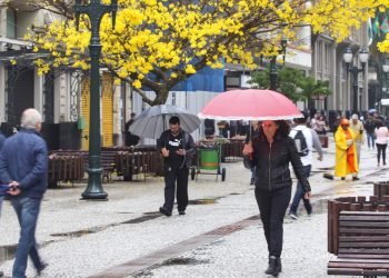 Foto: Governo do Paraná
