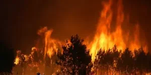 incendio-franca-300x169.jpeg
