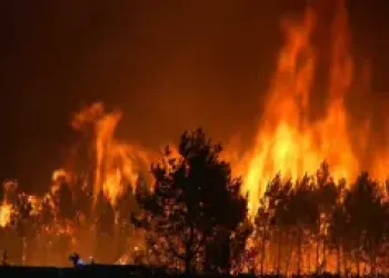 incendio-franca-300x169.jpeg