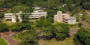 Foto: Governo do Paraná