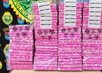 maconha-embalagem-pink006736330202609241755.png