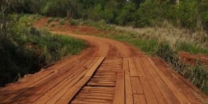 Foto: Governo do Paraná