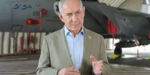 neta-300x200.jpg