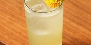 nova-carta-TAIYO-MANGO