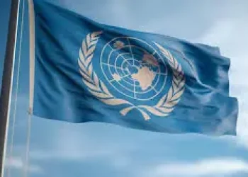 onu-freepik.jpeg